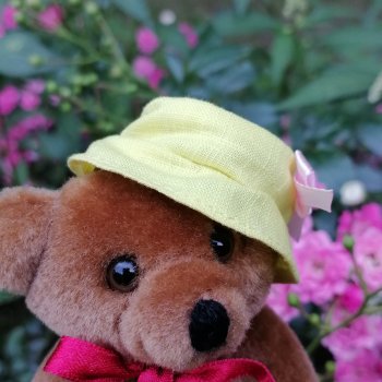 Санкт-Петербург: Мишель в Таврическом саду - розы