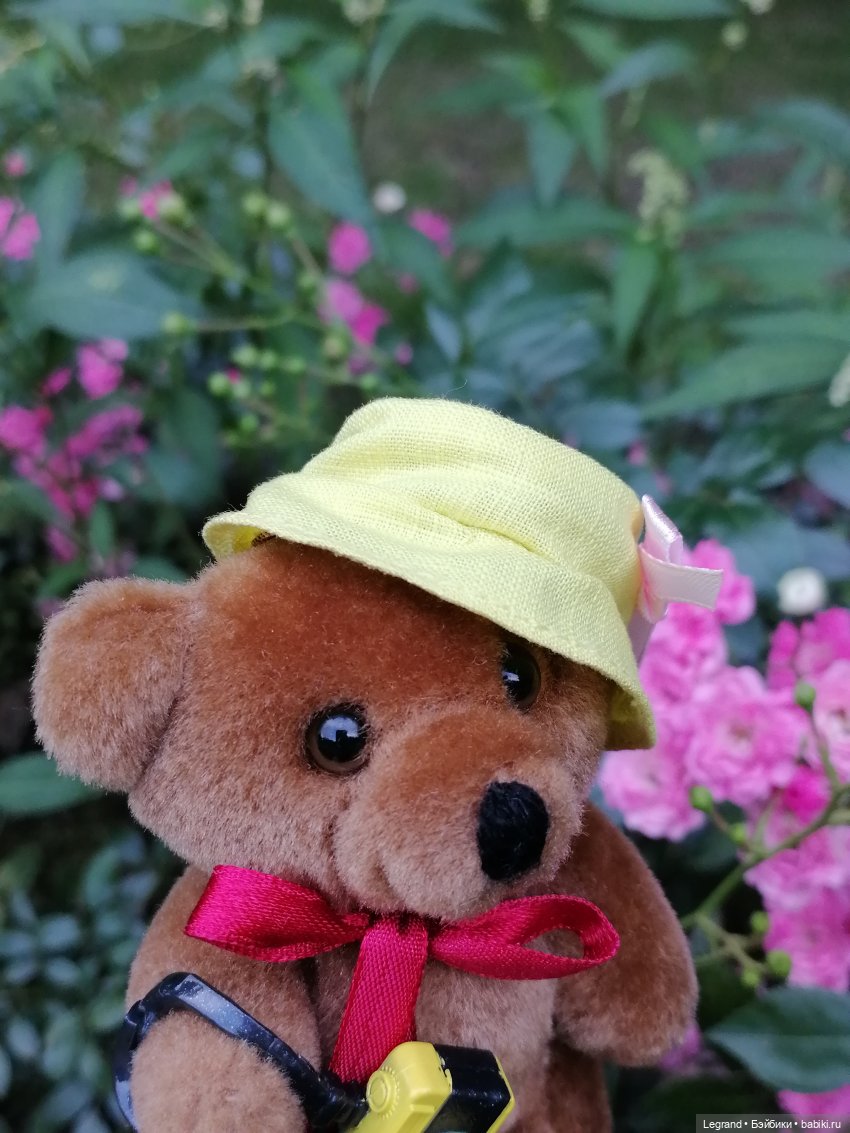 Санкт-Петербург: Мишель в Таврическом саду - розы