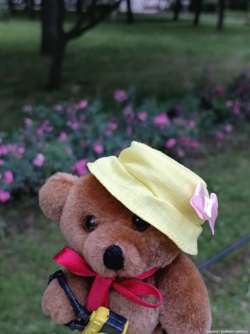 Санкт-Петербург: Мишель в Таврическом саду - розы