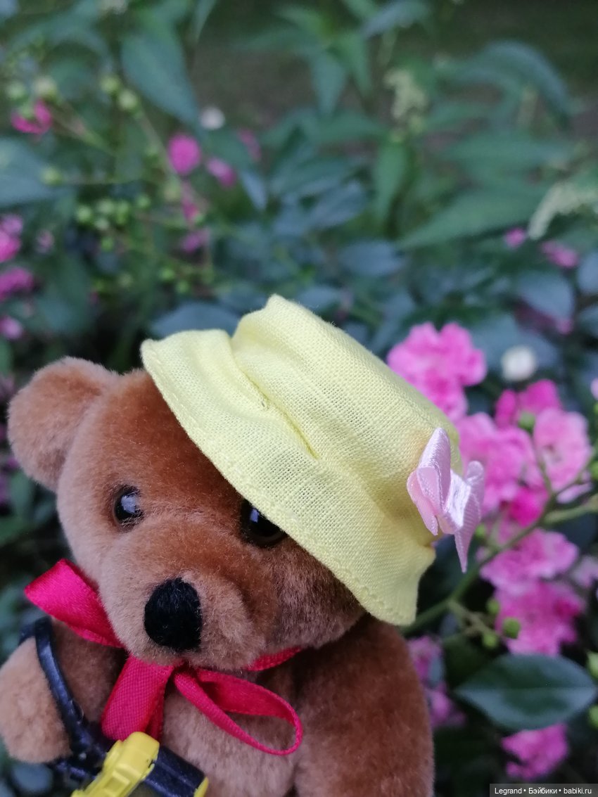 Санкт-Петербург: Мишель в Таврическом саду - розы