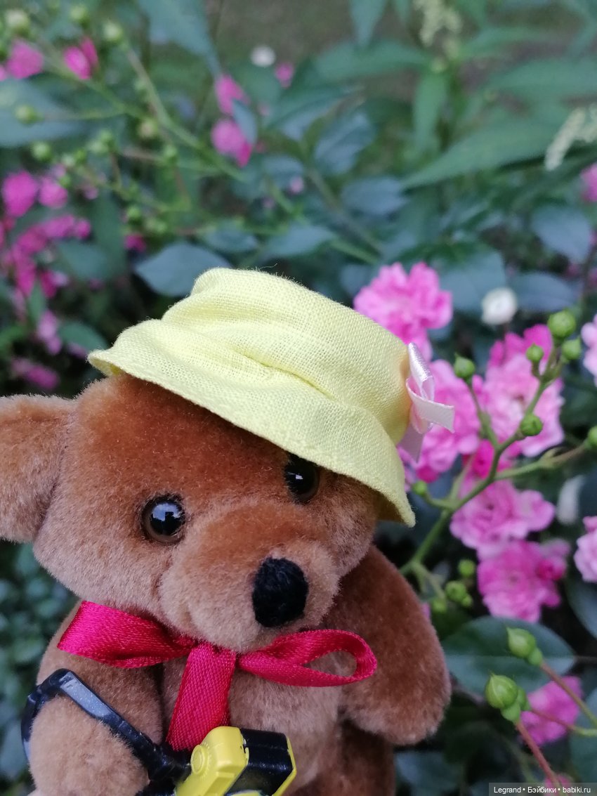 Санкт-Петербург: Мишель в Таврическом саду - розы