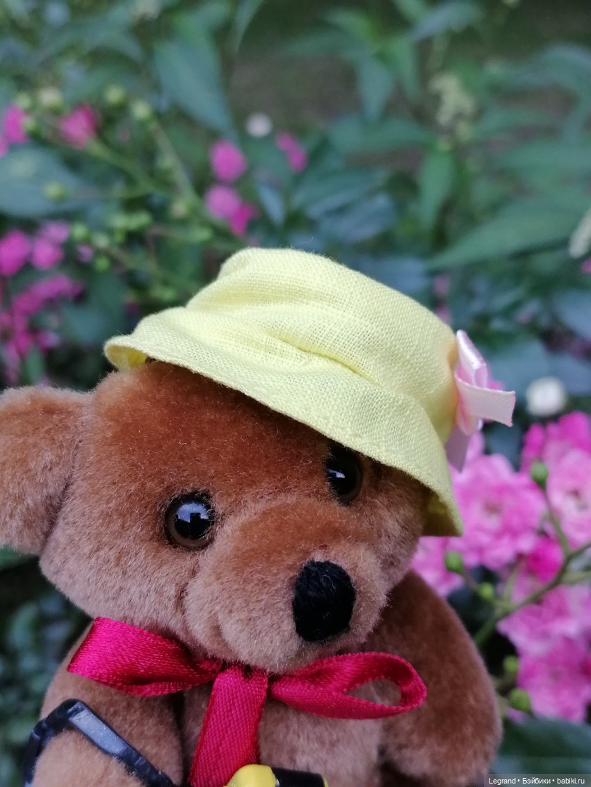 Санкт-Петербург: Мишель в Таврическом саду - розы