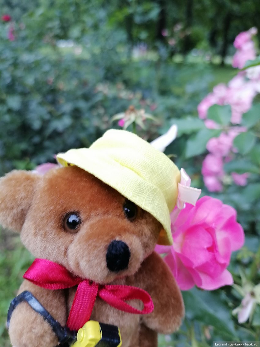 Санкт-Петербург: Мишель в Таврическом саду - розы