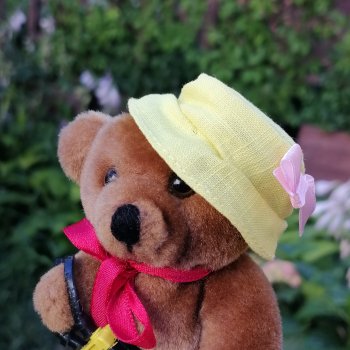 Из жизни моих мишек: Мишель во внутреннем дворе особняка И.К. Мясникова