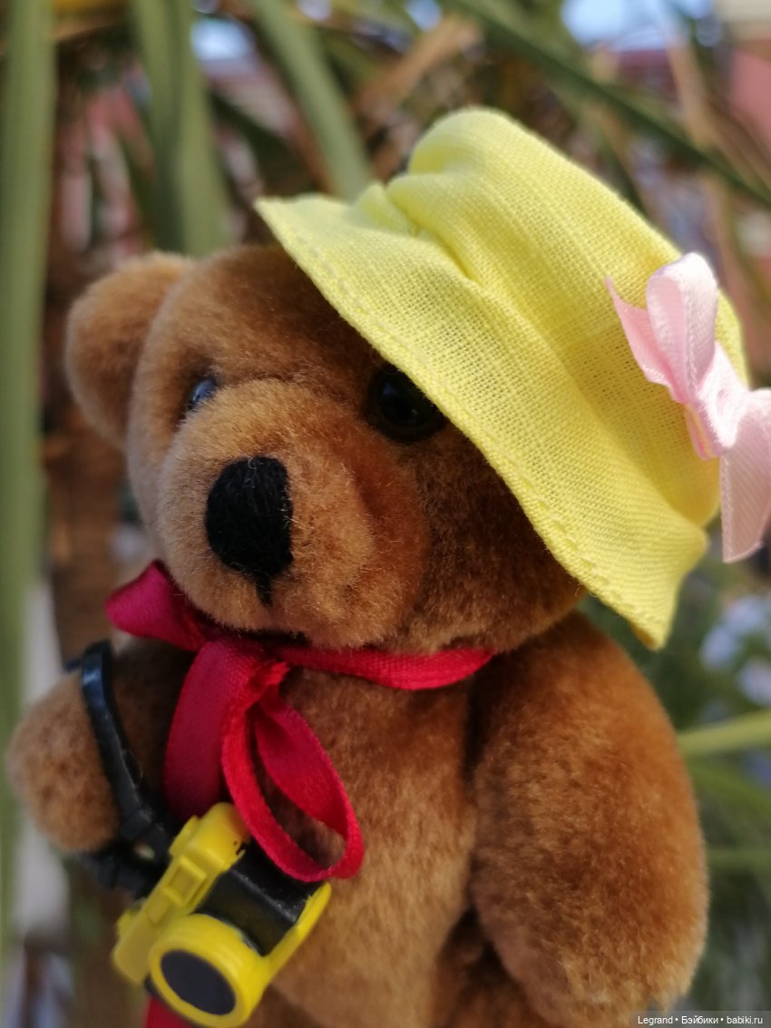 Из жизни моих мишек: Мишель во дворе особняка И.К. Мясникова - пальмы