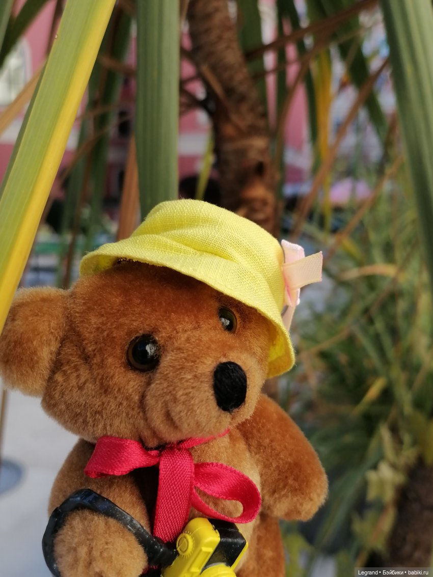 Из жизни моих мишек: Мишель во дворе особняка И.К. Мясникова - пальмы