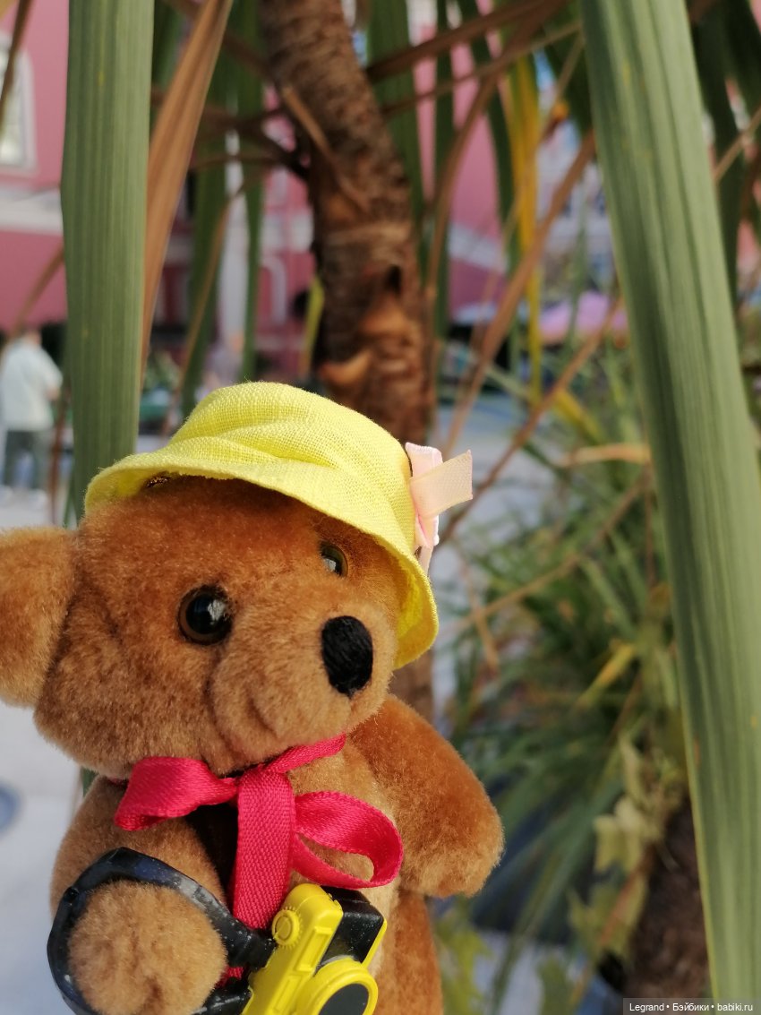 Из жизни моих мишек: Мишель во дворе особняка И.К. Мясникова - пальмы