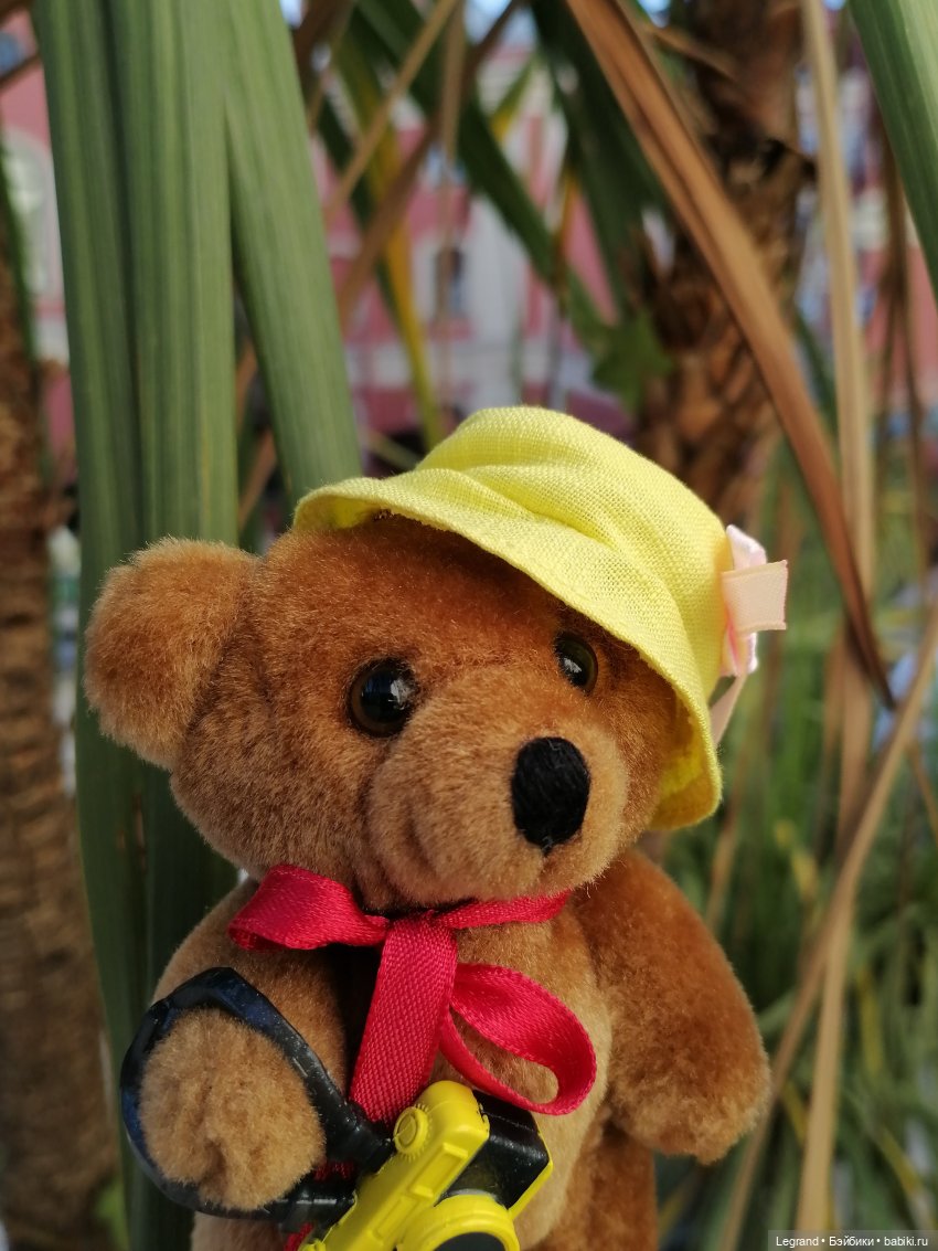 Из жизни моих мишек: Мишель во дворе особняка И.К. Мясникова - пальмы