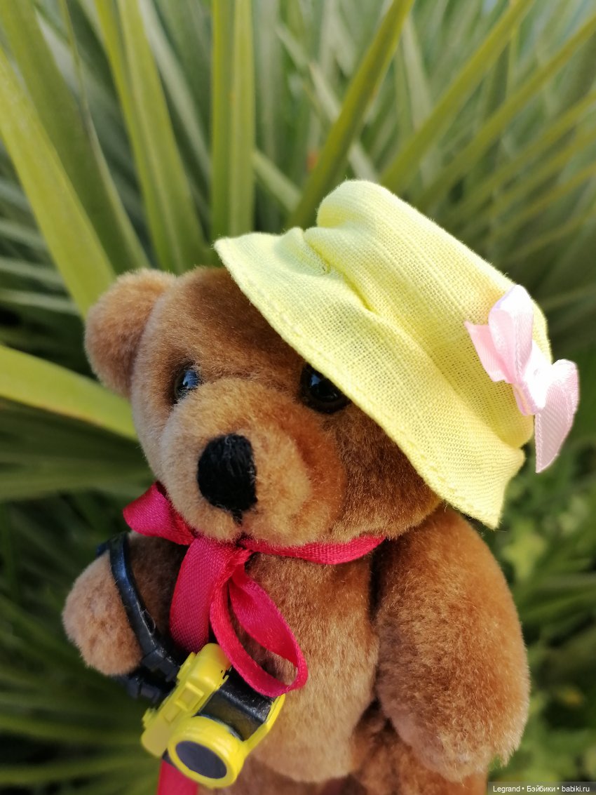 Из жизни моих мишек: Мишель во дворе особняка И.К. Мясникова - пальмы