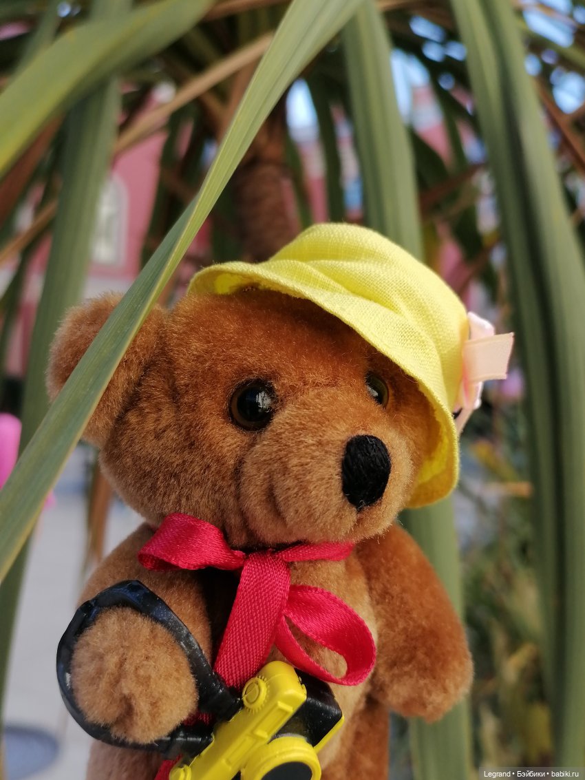 Из жизни моих мишек: Мишель во дворе особняка И.К. Мясникова - пальмы