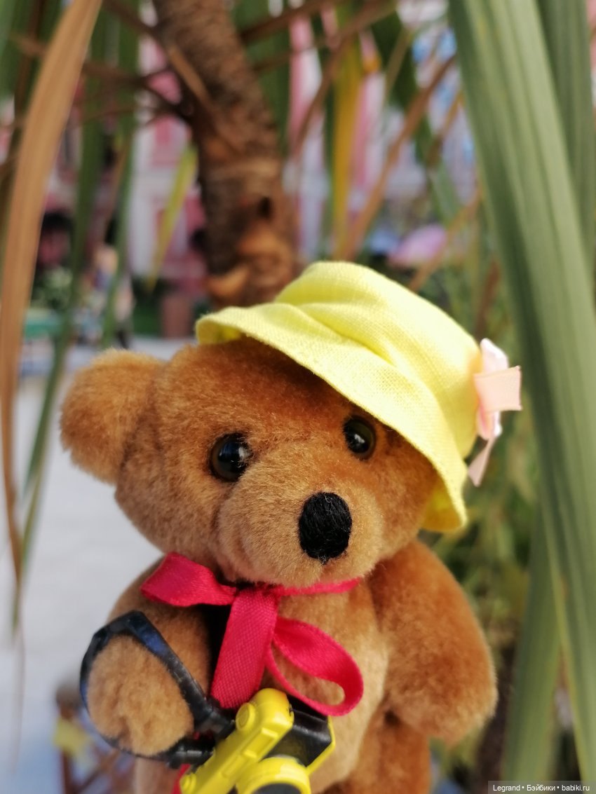 Из жизни моих мишек: Мишель во дворе особняка И.К. Мясникова - пальмы