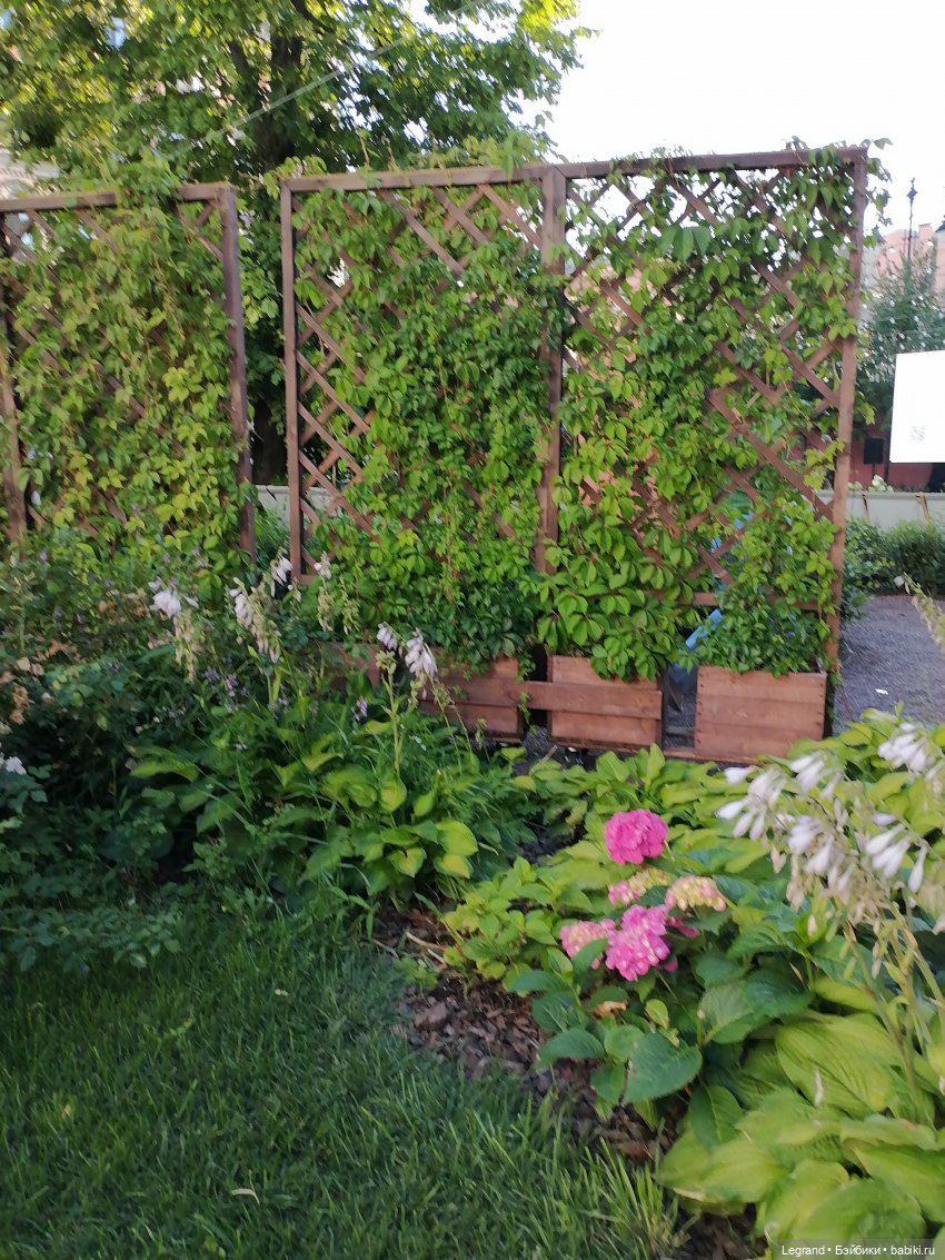 Из жизни моих мишек: Мишель во внутреннем дворе особняка И.К. Мясникова