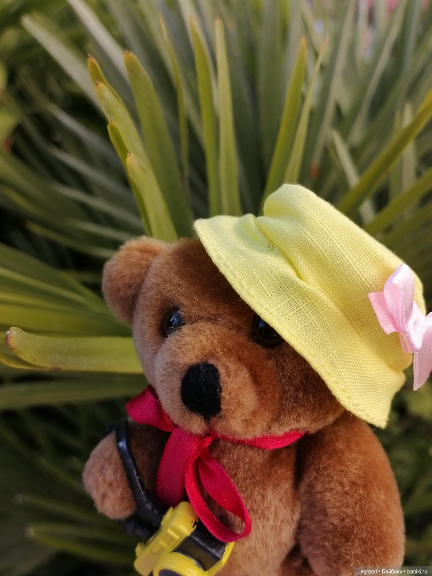 Из жизни моих мишек: Мишель во дворе особняка И.К. Мясникова - пальмы