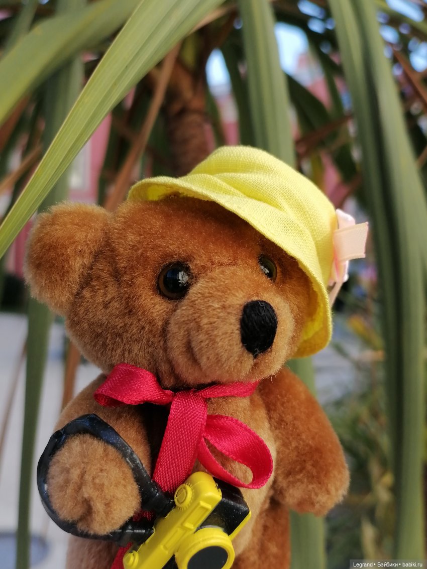 Из жизни моих мишек: Мишель во дворе особняка И.К. Мясникова - пальмы