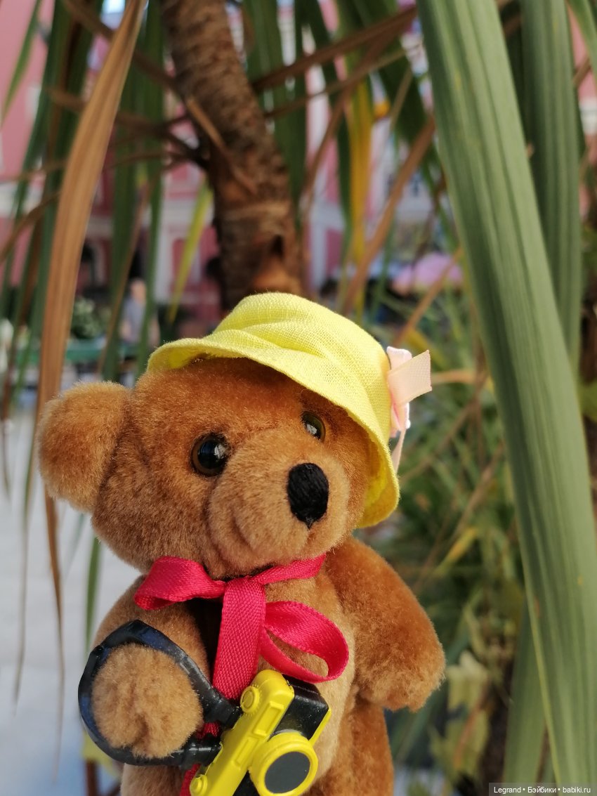 Из жизни моих мишек: Мишель во дворе особняка И.К. Мясникова - пальмы