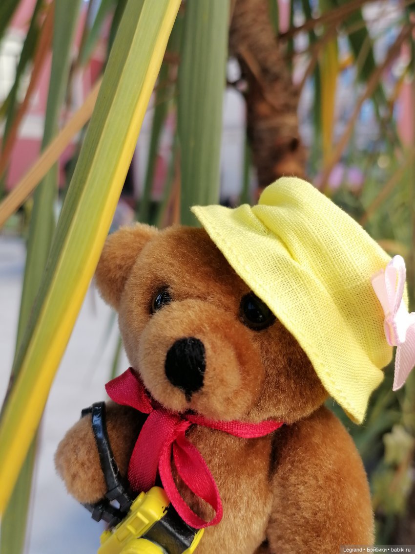 Из жизни моих мишек: Мишель во дворе особняка И.К. Мясникова - пальмы