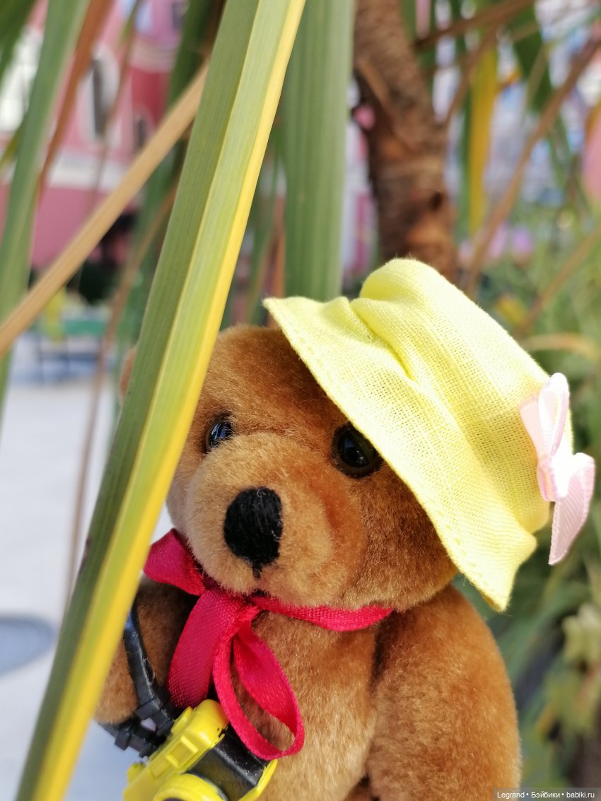 Из жизни моих мишек: Мишель во дворе особняка И.К. Мясникова - пальмы