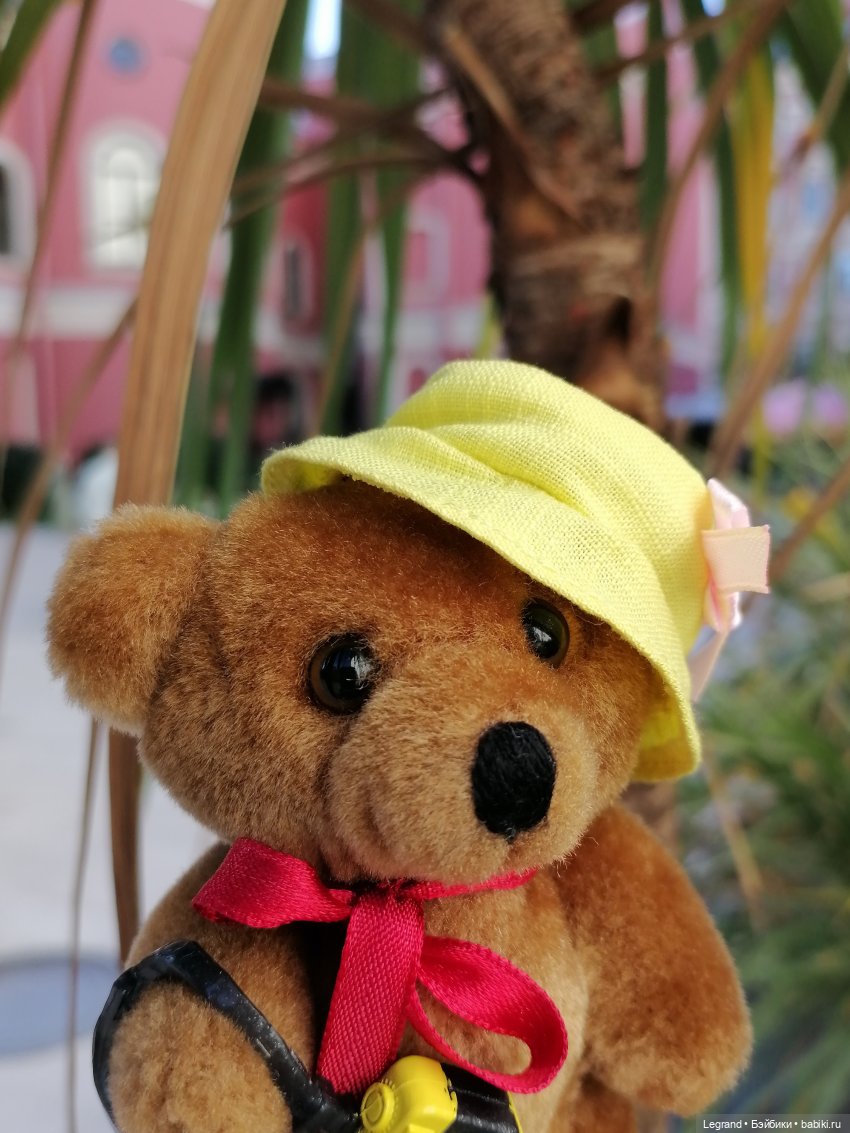 Из жизни моих мишек: Мишель во дворе особняка И.К. Мясникова - пальмы