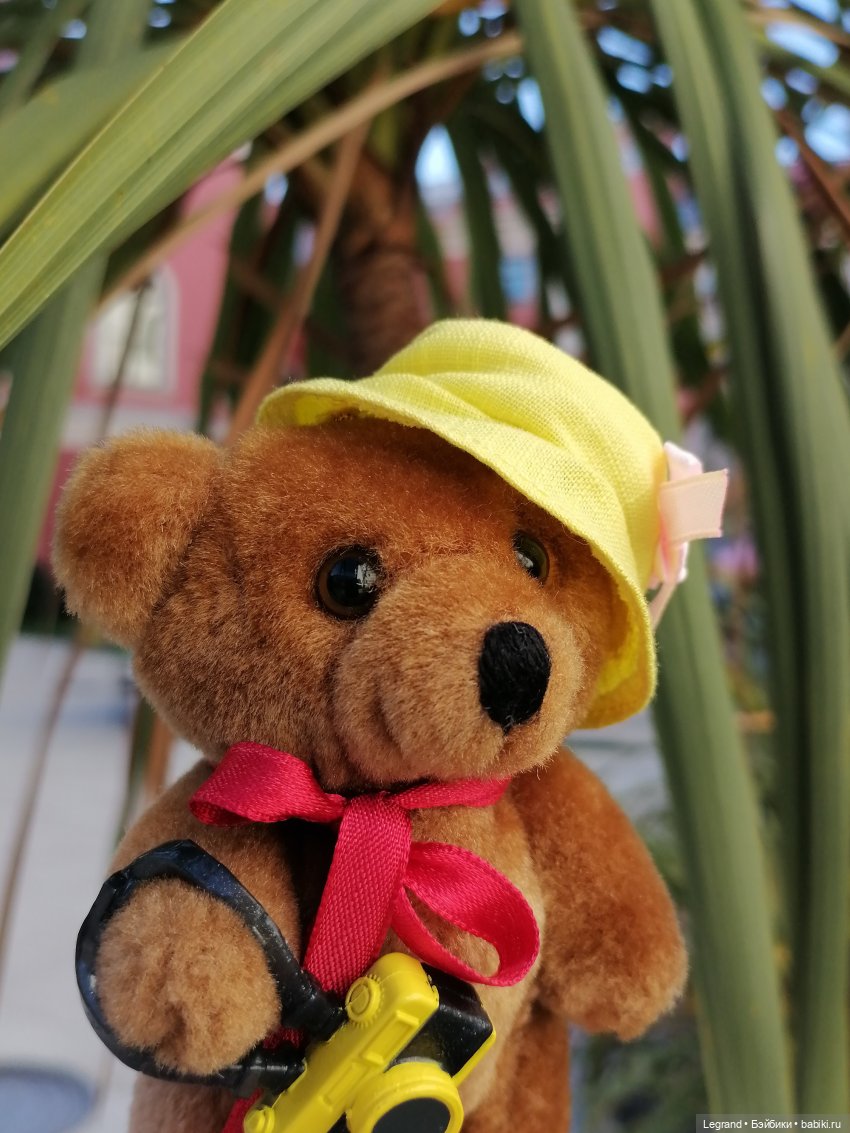 Из жизни моих мишек: Мишель во дворе особняка И.К. Мясникова - пальмы