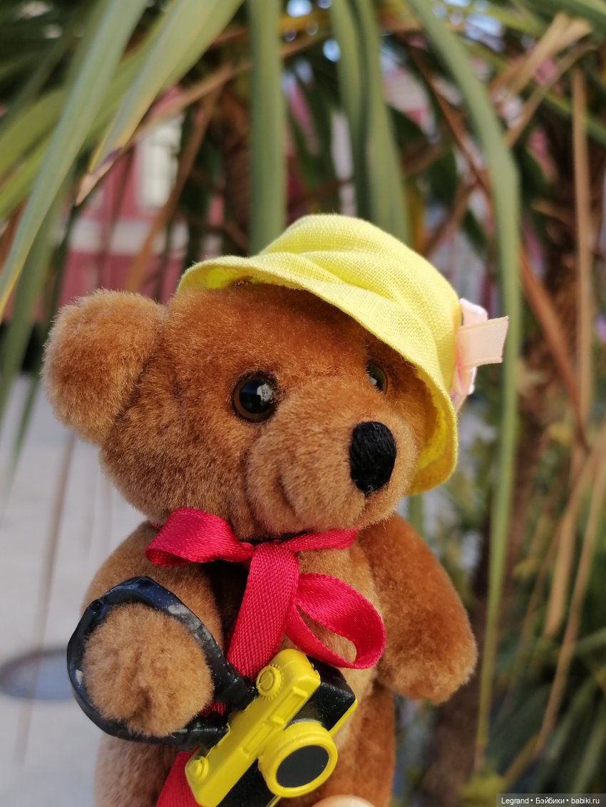 Из жизни моих мишек: Мишель во дворе особняка И.К. Мясникова - пальмы