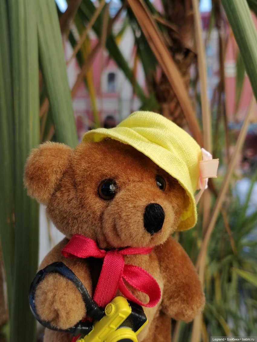 Из жизни моих мишек: Мишель во дворе особняка И.К. Мясникова - пальмы