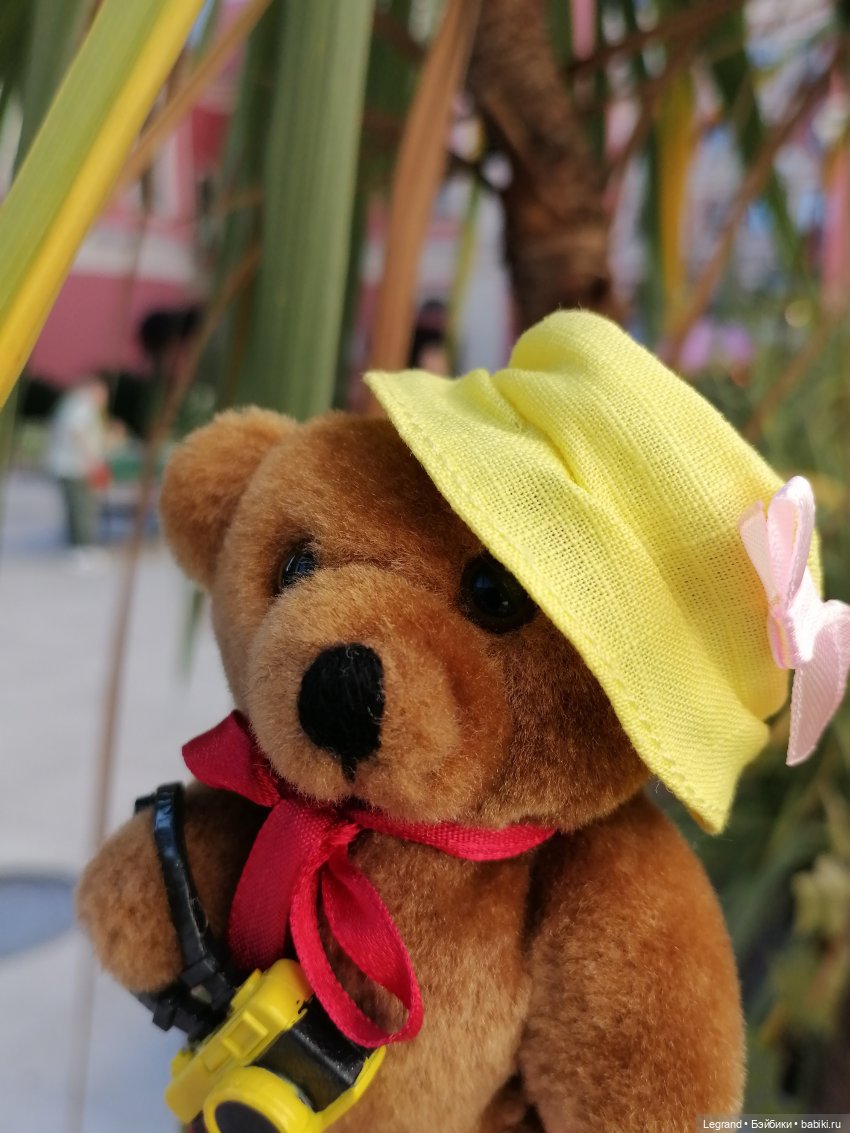 Из жизни моих мишек: Мишель во дворе особняка И.К. Мясникова - пальмы