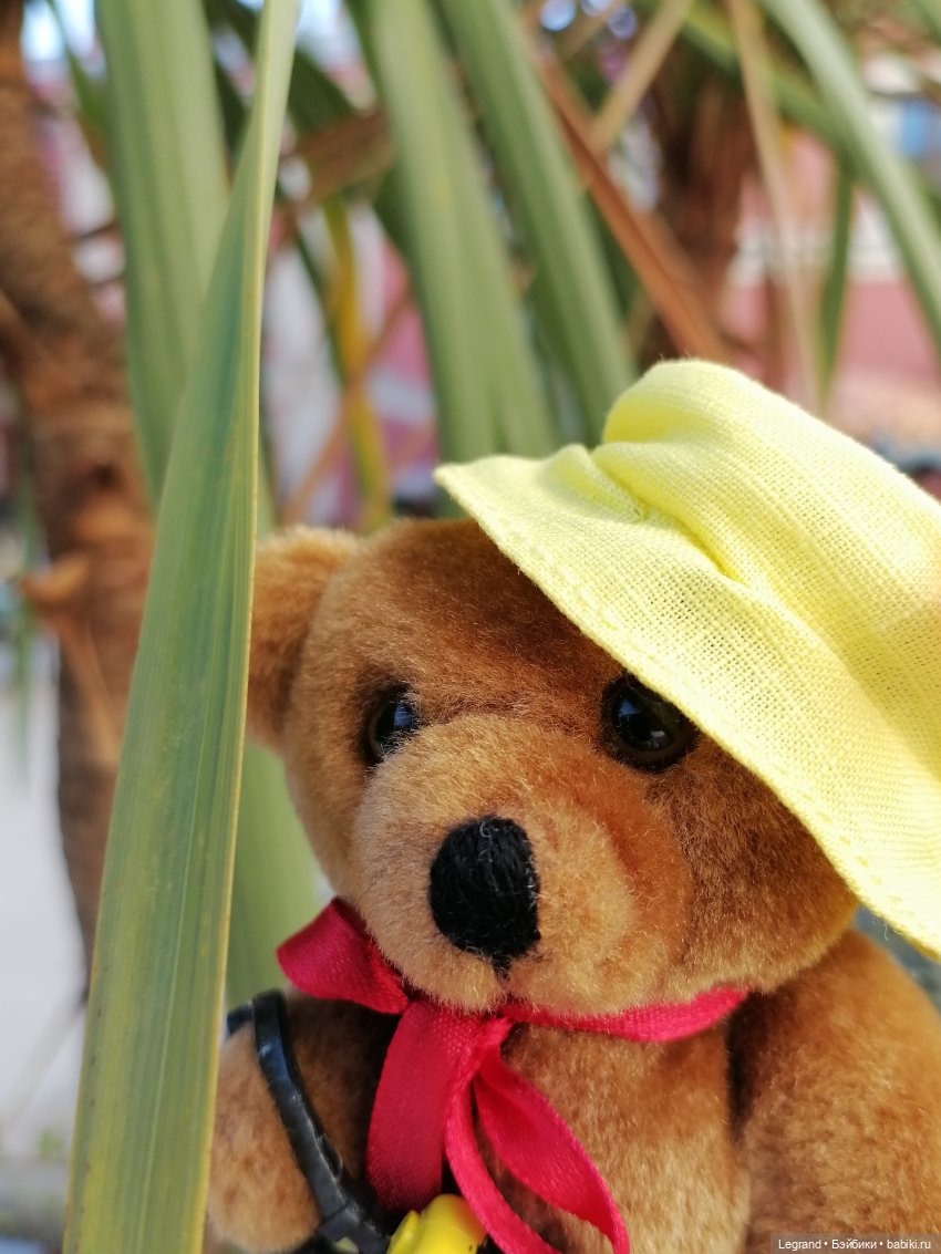 Из жизни моих мишек: Мишель во дворе особняка И.К. Мясникова - пальмы