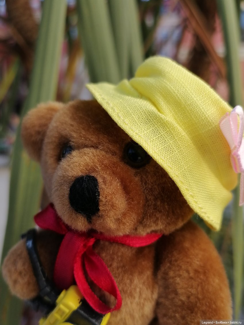 Из жизни моих мишек: Мишель во дворе особняка И.К. Мясникова - пальмы