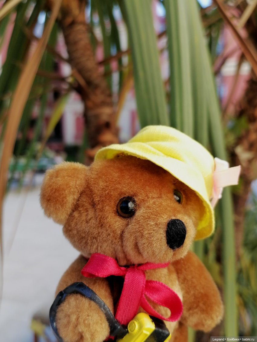 Из жизни моих мишек: Мишель во дворе особняка И.К. Мясникова - пальмы