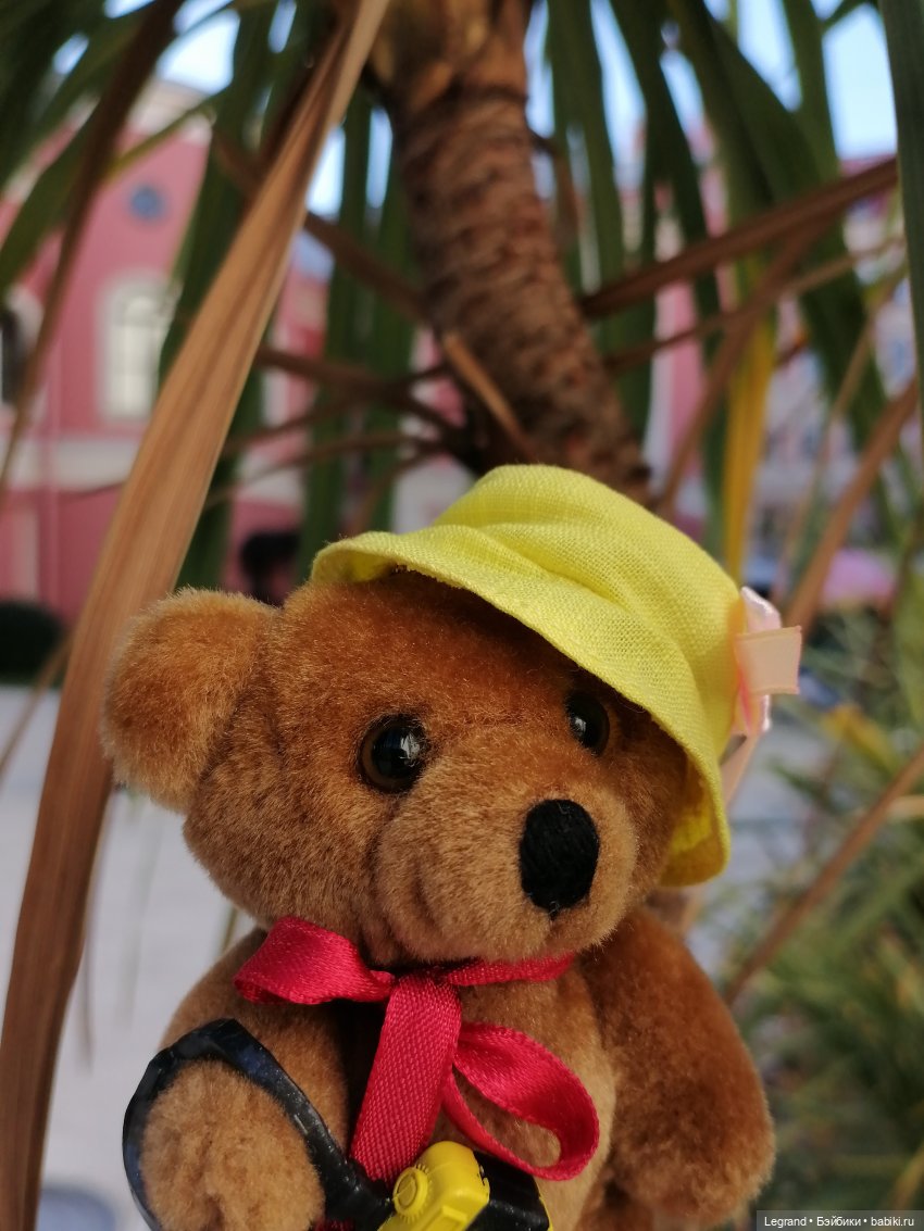 Из жизни моих мишек: Мишель во дворе особняка И.К. Мясникова - пальмы