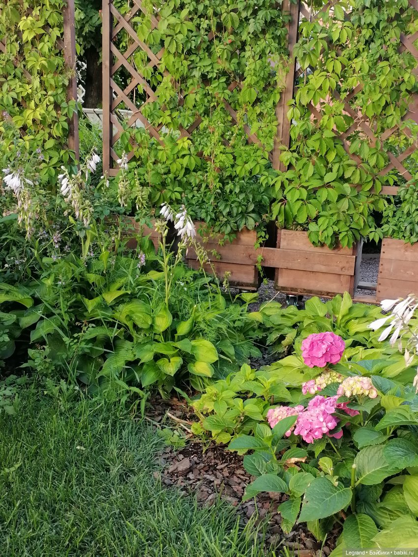 Из жизни моих мишек: Мишель во внутреннем дворе особняка И.К. Мясникова