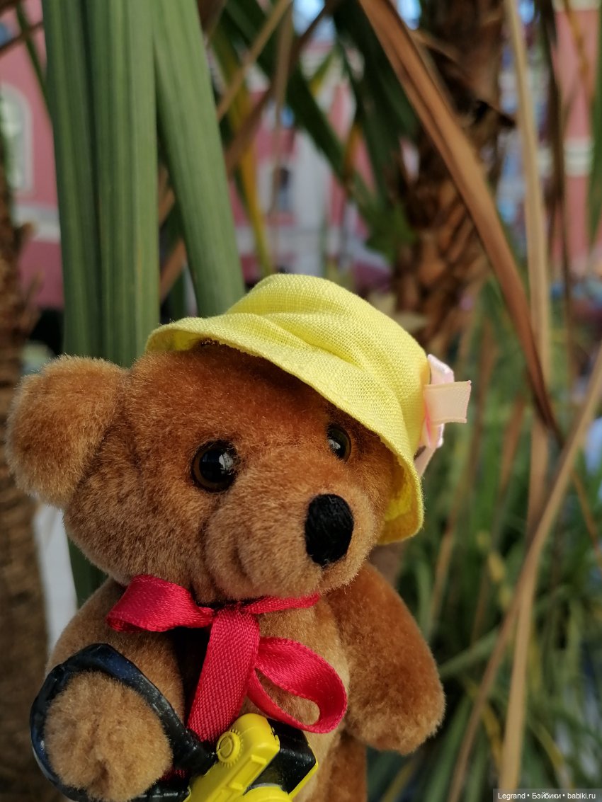 Из жизни моих мишек: Мишель во дворе особняка И.К. Мясникова - пальмы