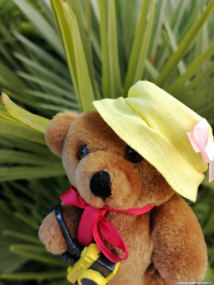 Из жизни моих мишек: Мишель во дворе особняка И.К. Мясникова - пальмы