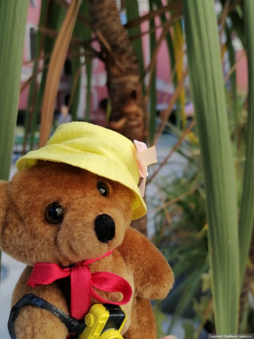 Из жизни моих мишек: Мишель во дворе особняка И.К. Мясникова - пальмы