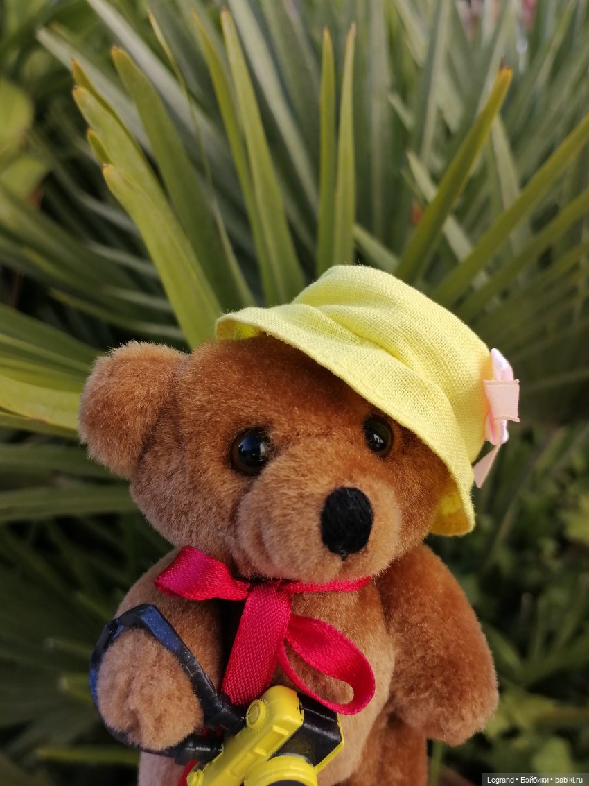 Из жизни моих мишек: Мишель во дворе особняка И.К. Мясникова - пальмы