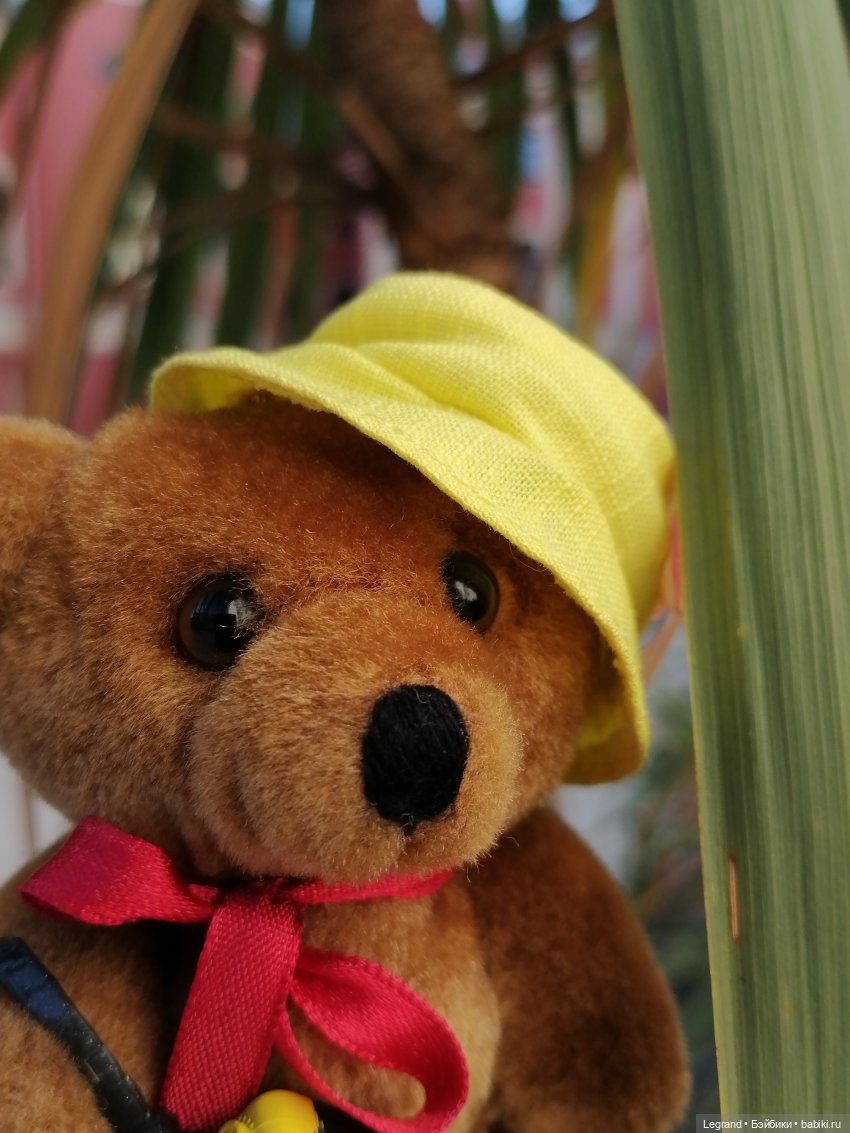 Из жизни моих мишек: Мишель во дворе особняка И.К. Мясникова - пальмы