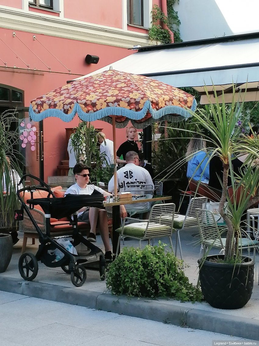 Из жизни моих мишек: Мишель во дворе особняка И.К. Мясникова - пальмы (фото 7)