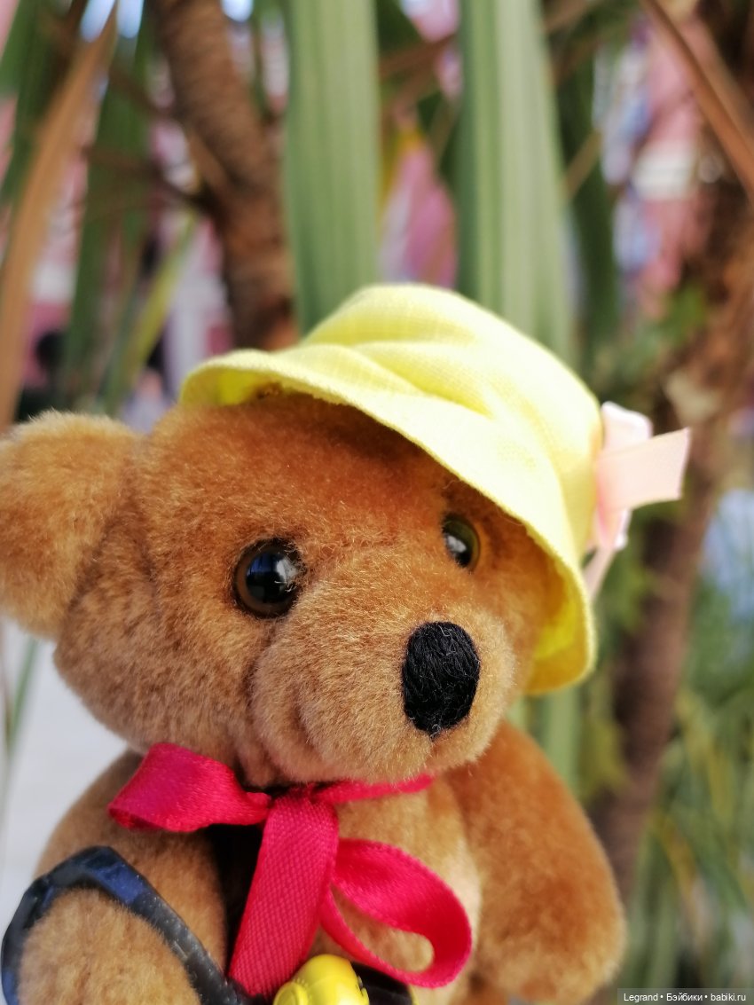 Из жизни моих мишек: Мишель во дворе особняка И.К. Мясникова - пальмы