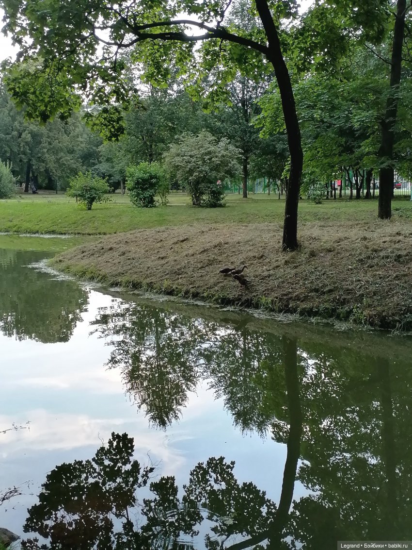 Санкт-Петербург: Мишель в Таврическом саду - розы