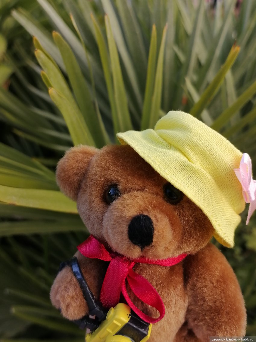 Из жизни моих мишек: Мишель во дворе особняка И.К. Мясникова - пальмы