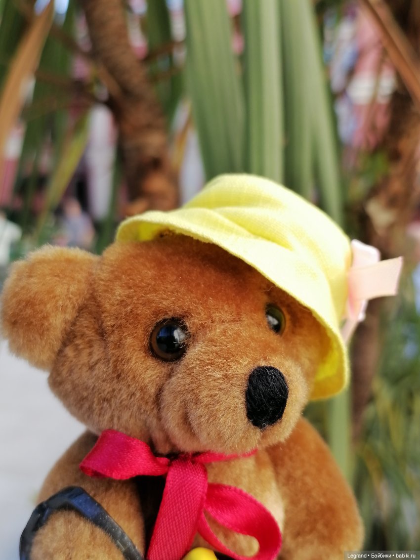 Из жизни моих мишек: Мишель во дворе особняка И.К. Мясникова - пальмы