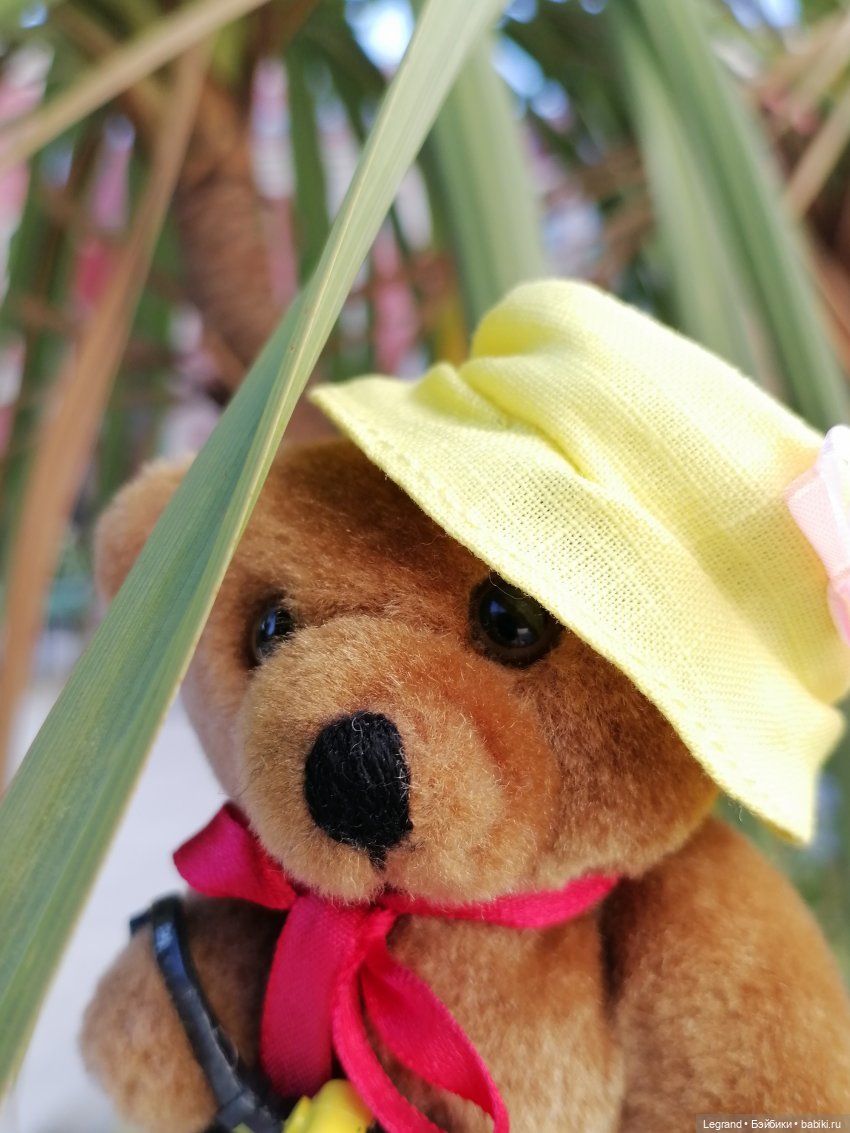 Из жизни моих мишек: Мишель во дворе особняка И.К. Мясникова - пальмы