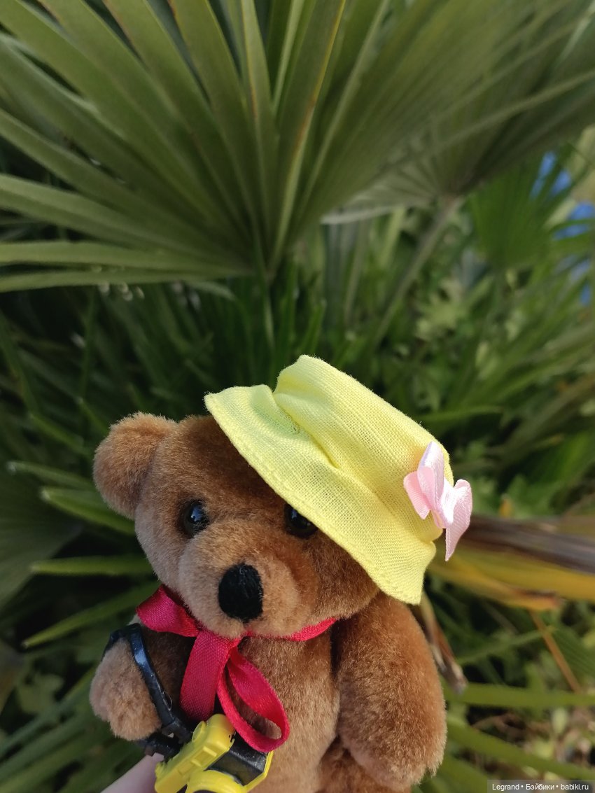 Из жизни моих мишек: Мишель во дворе особняка И.К. Мясникова - пальмы (фото 10)