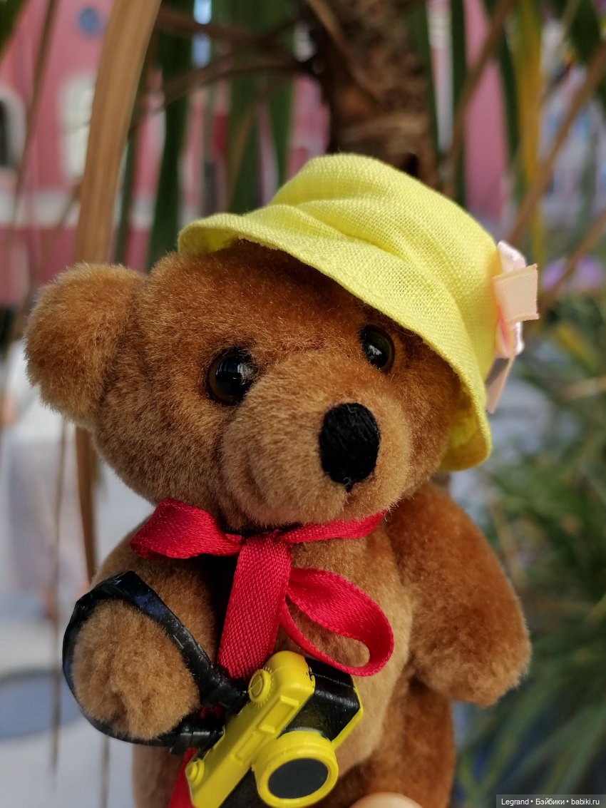 Из жизни моих мишек: Мишель во дворе особняка И.К. Мясникова - пальмы