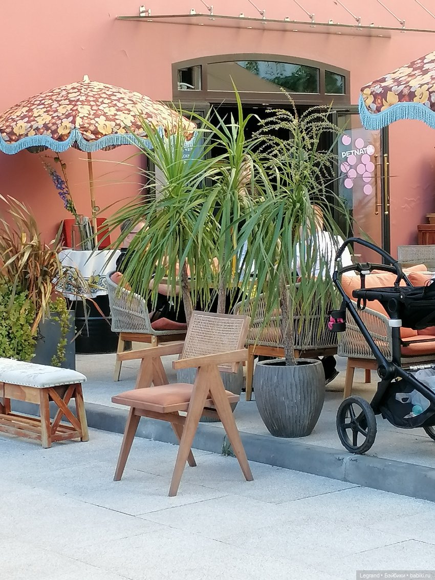 Из жизни моих мишек: Мишель во дворе особняка И.К. Мясникова - пальмы (фото 3)