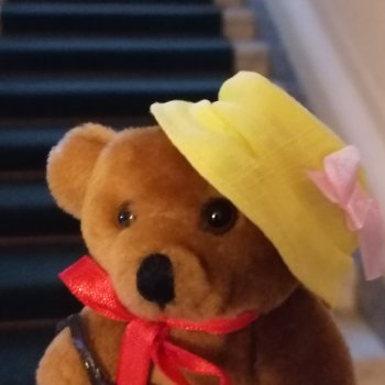 Санкт-Петербург: особняк Н.Н. Ермолинского - снова в компании Мишеля🤗 Часть вторая