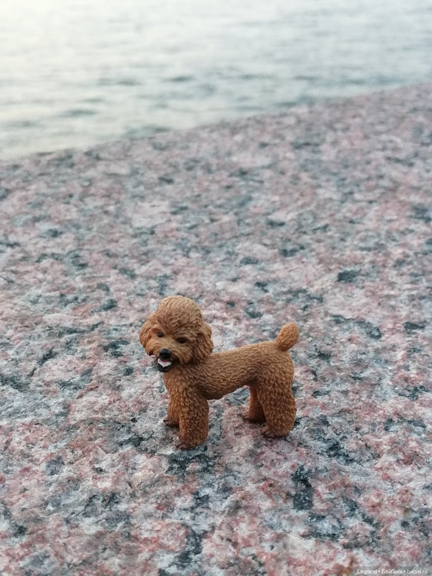 Санкт-Петербург: розы, Август, Нева, закат - часть вторая