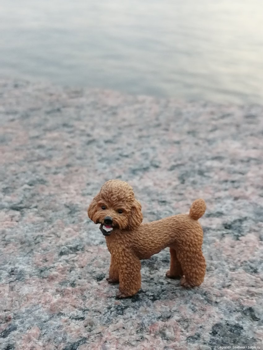 Санкт-Петербург: розы, Август, Нева, закат - часть третья