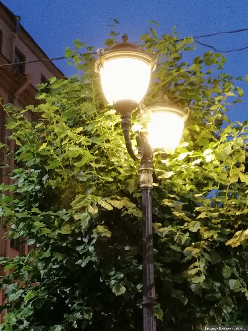 Санкт-Петербург: розы, Август, Нева, закат - часть четвёртая