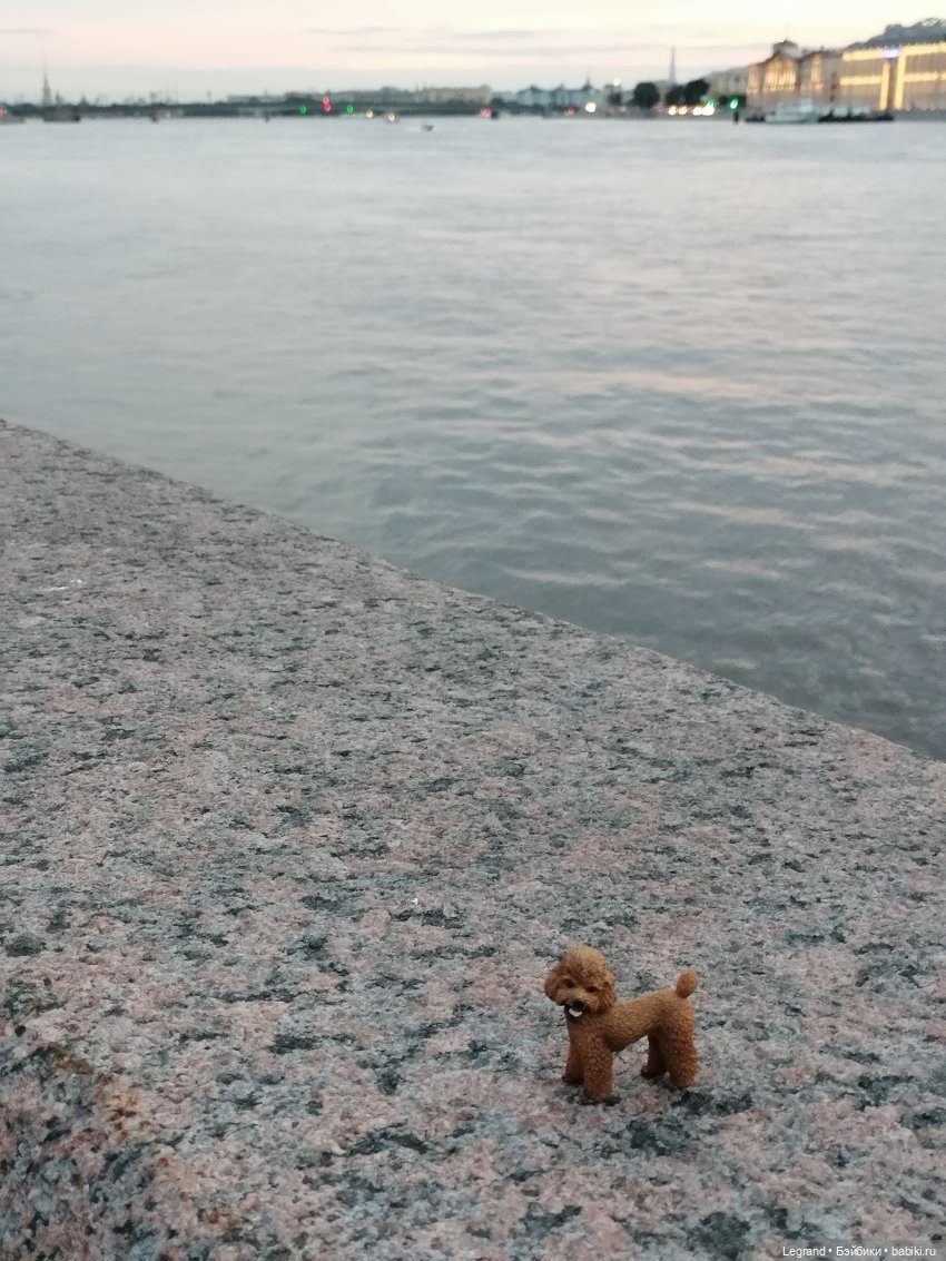 Санкт-Петербург: розы, Август, Нева, закат - часть третья